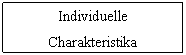 Textfeld: Individuelle Charakteristika